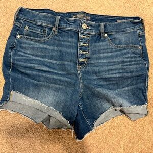 Torrid Shorts